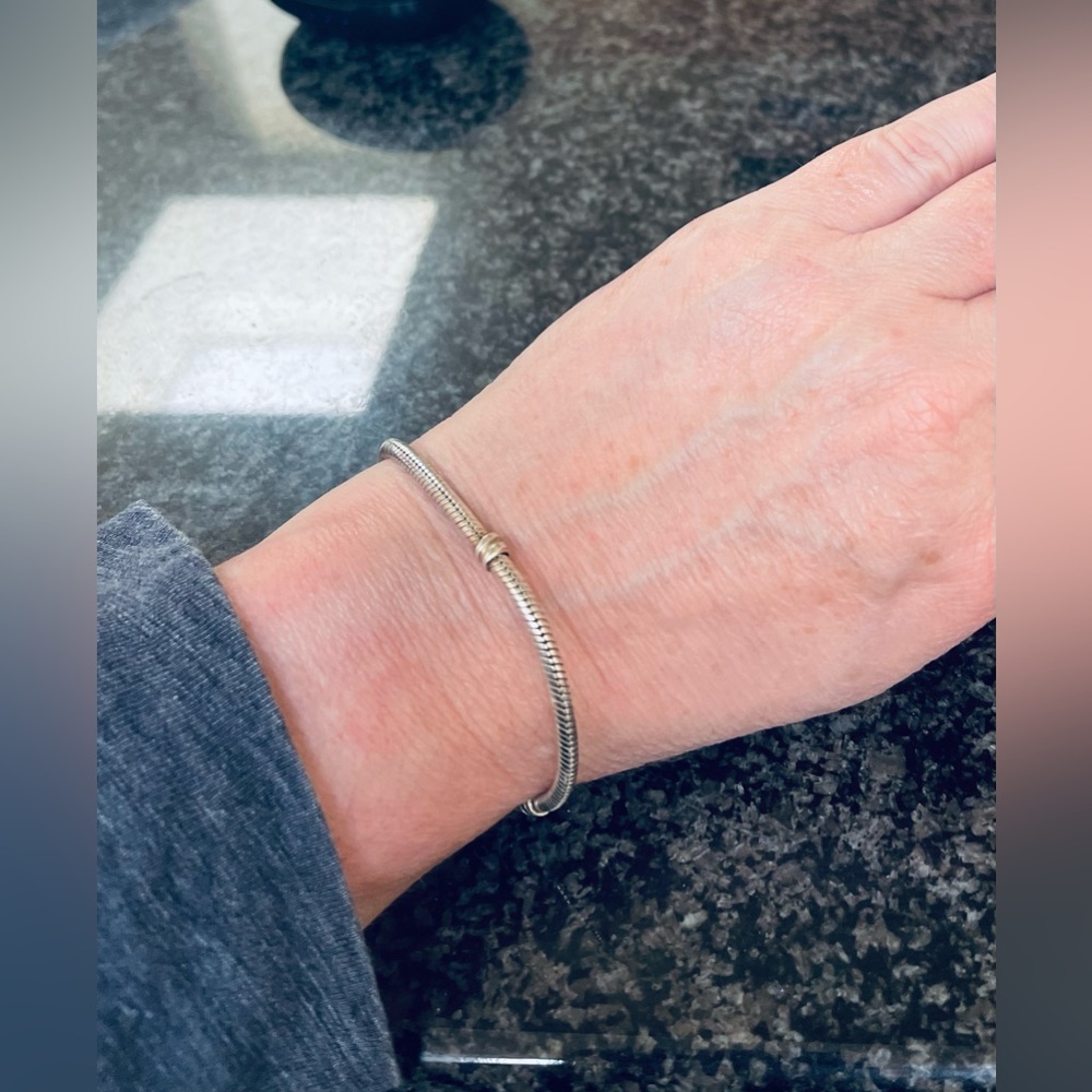 Pandora charm bracelet